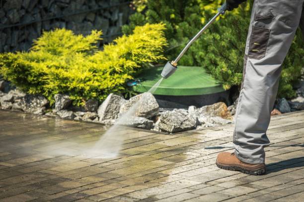 Best Fence Cleaning and Maintenance in Maplewood, MO