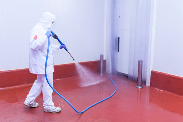 Best Residential Pressure Washing in Maplewood, MO